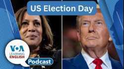 US Election Day, Pneumonia vaccine, Present perfect
