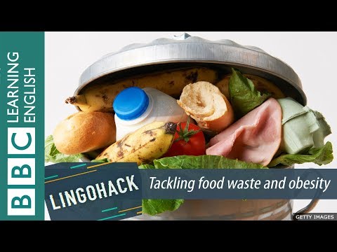 Tackling food waste and obesity - Lingohack