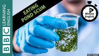 Would you eat pond scum? Eating Microalgae! Listen to 6 Minute English