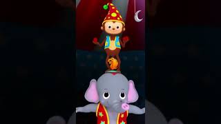 Animal Circus Show! ?? #LittleBabyBum #Shorts