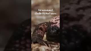 ดูสารคดีเต็มเรื่อง กด Created from @nextstepwave #สำรวจโลก #doxzilla #สารคดี