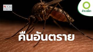เมื่อความมืดมาเยือน ใครคือผู้ล่า…ใครคือเหยื่อ | สารคดี สำรวจโลก