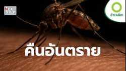 เมื่อความมืดมาเยือน ใครคือผู้ล่า…ใครคือเหยื่อ | สารคดี สำรวจโลก