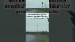 #สารคดีพากย์ไทย #สารคดี #animals #สำรวจโลก