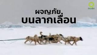 สารคดี สำรวจโลก ตอน ผจญภัยบนลากเลื่อน