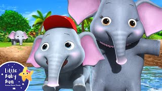 Five Little Elephants | Little Baby Bum - New Nursery Rhymes for Kids