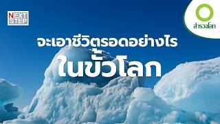 มีชีวิตอยู่ได้อย่างไร…ในดินแดนน้ำแข็ง? | สารคดี สำรวจโลก