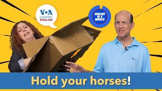 English in a Minute: Hold Your Horses