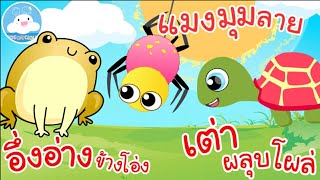 เพลงอึ่งอ่างข้างโอ่ง เพลงแมงมุมลาย เพลงเต่าผลุบโผล่ เพลงเด็กน้อยวัยอนุบาล @KidsOnCloud 