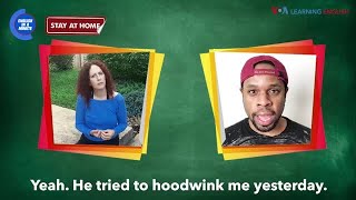 English in a Minute: Hoodwink