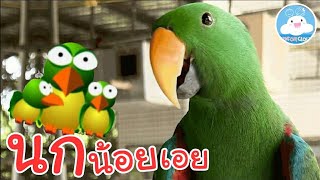 นกแสนรู้ บินมาเกาะมือสุดน่ารัก