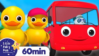 Duck on the Bus +More Nursery Rhymes and Kids Songs | Little Baby Bum