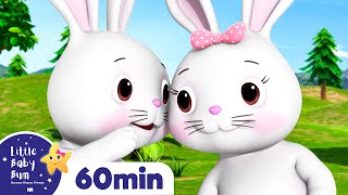 Fluffy Bunnies + More | Little Baby Bum Kids Songs and Nursery Rhymes