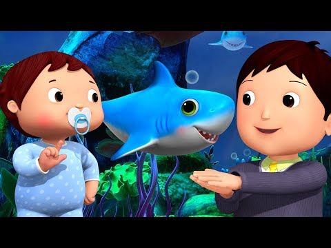 ?Baby Shark Dance | Baby Shark Challenge | Little Baby Bum Live | Nursery Rhymes