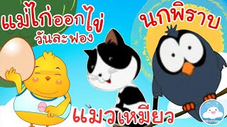 เพลงแม่ไก่ออกไข่วันละฟอง เพลงนกพิราบ & เพลงแมวเหมียว เพลงเด็กน้อยวัยอนุบาล @KidsOnCloud