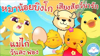 เพลงหมาน้อยบิงโก เพลงแม่ไก่ออกไข่วันละฟอง เพลงเสียงสัตว์น่ารัก เพลงเด็กน้อยวัยอนุบาล @KidsOnCloud 
