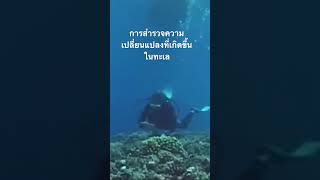 #สำรวจโลก #doxzilla #สารคดี #ใต้ทะเล