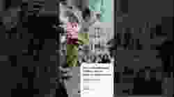 https://youtube.com/clip/UgkxCR2WgY_NzZYkZel7Y2LLWWgA7HI0lUj0?si=SU7omjzU0hJh2dwL