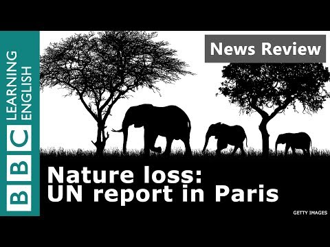 Nature Loss: UN Report in Paris - BBC News Review