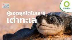 เต่าทะเล ผู้รอดจากยุคไดโนเสาร์ กำลังจะหายไป ? | สารคดี สำรวจโลก