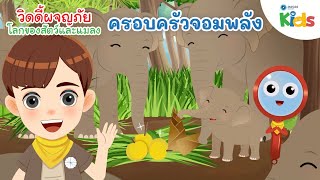 ครอบครัวจอมพลัง | วิดดี้ผจญภัย "โลกของสัตว์และแมลง"