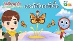 ดอกไม้และผีเสื้อ | วิดดี้ผจญภัย "โลกของสัตว์และแมลง"