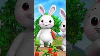 Hop Hop Little Bunnies ? #LBB #Short #Animalsong