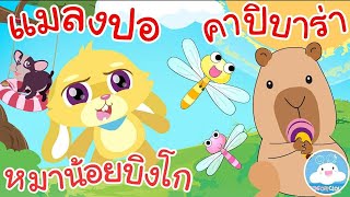 เพลงหมาน้อยบิงโก เพลงแมลงปอ เพลงคาปิบาร่า เพลงเด็กน้อยวัยอนุบาล @KidsOnCloud 