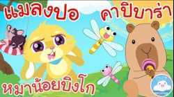 เพลงหมาน้อยบิงโก เพลงแมลงปอ เพลงคาปิบาร่า เพลงเด็กน้อยวัยอนุบาล @KidsOnCloud 