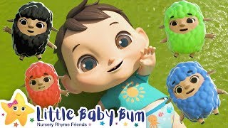 Baa Baa Black Sheep Song | Nursery Rhyme & Kids Song - ABCs and 123s | Little Baby Bum