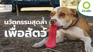 สิ่งประดิษฐ์สุดอัศจรรย์ ที่เกิดจากแรงบันดาลใจของสัตว์โลก | สารคดี สำรวจโลก