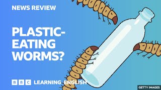 BBC News Review: Plastic-eating worms