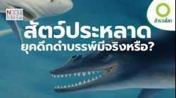 สิ่งมีชีวิตปริศนาใต้ผืนน้ำ มีอยู่จริงหรือไม่? | สารคดี สำรวจโลก