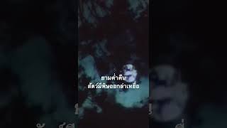 #doxzilla #สำรวจโลก #สารคดี #สัตว์มีพิษ
