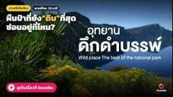 อุทยานดึกดำบรรพ์ มีสิ่งมีชีวิตอะไรอาศัยอยู่ในนั้น? | สารคดี อุทยานดึกดำบรรพ์