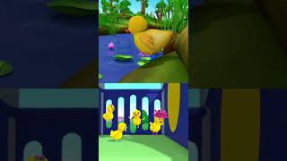 6 Little Ducks ?? #LBB #Short #animals