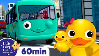 Wheels On The Bus And Ducks +More Nursery Rhymes and Kids Songs | Little Baby Bum