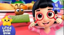 Let's Observe Ants Closely – Ants Go Marching ?? | Little Baby Bum