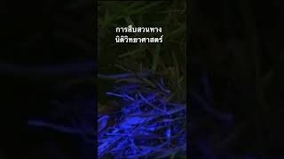 #สำรวจโลก #doxzilla #สารคดี #นิติวิทยาศาสตร์