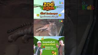 พี่โบว์ Zookeeper ? ผู้ดูแลน้องเอวาและน้องลูน่า ?