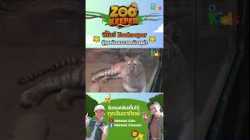 พี่โบว์ Zookeeper ? ผู้ดูแลน้องเอวาและน้องลูน่า ?