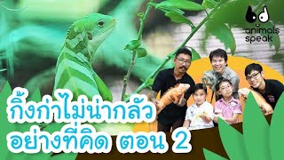 กิ้งก่าไม่น่ากลัวอย่างที่คิด ตอน 2 | Animals Speak [Mahidol Kids]