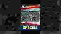 News Words: Species